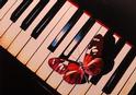 Piano Prints Posters & Fine Art (see inside)