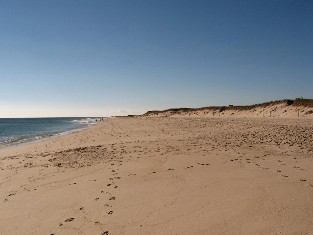 Cape Cod Shore