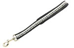 Pet Leash with Keyboard Design