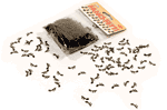 Music Note Confetti - Perfect for Parties!